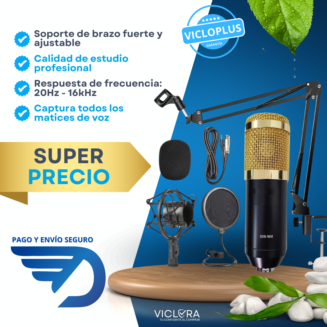 Kit De Micrófono Profesional Con Filtro